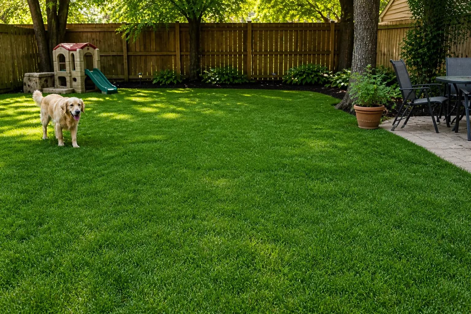 Clean yard after cleanup
